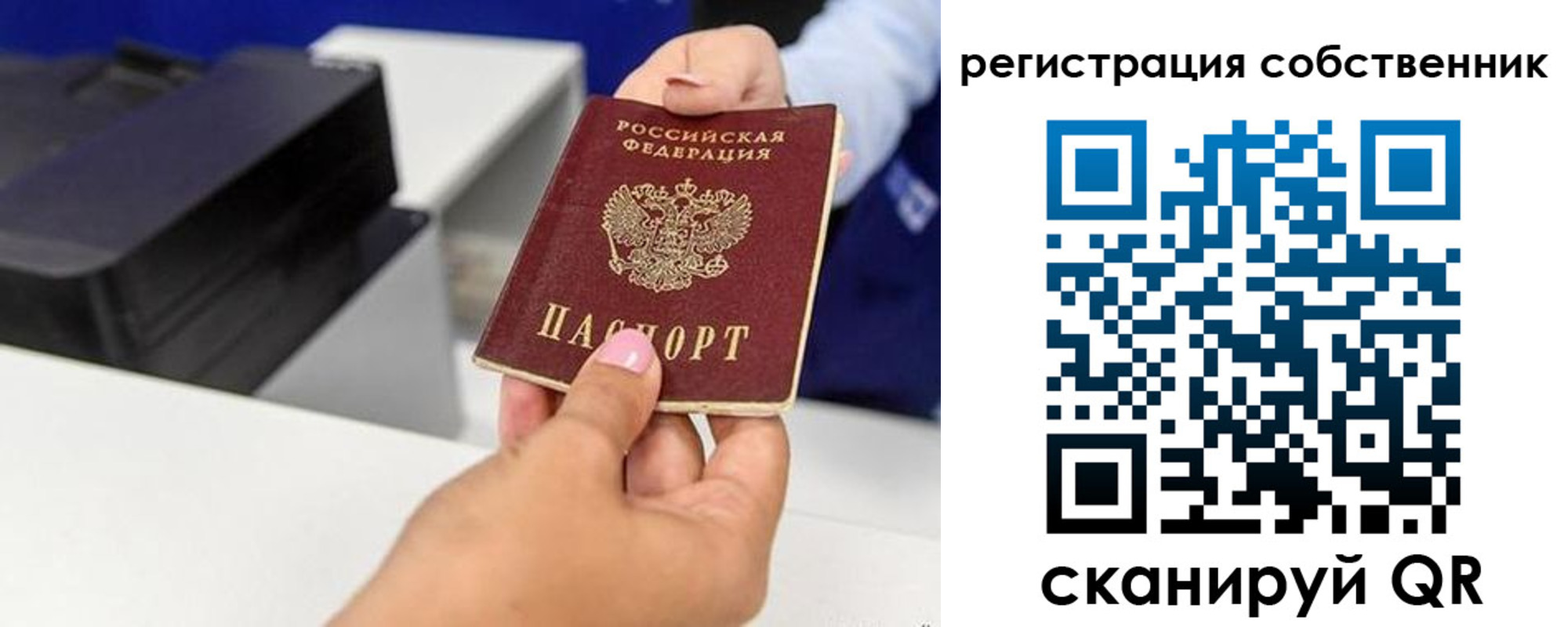 прописка для школы в Алейске